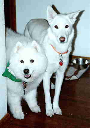 Snowflake and Oso